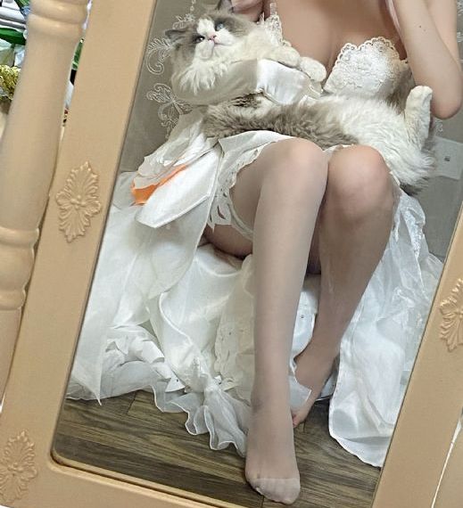 苦月亮在线观看